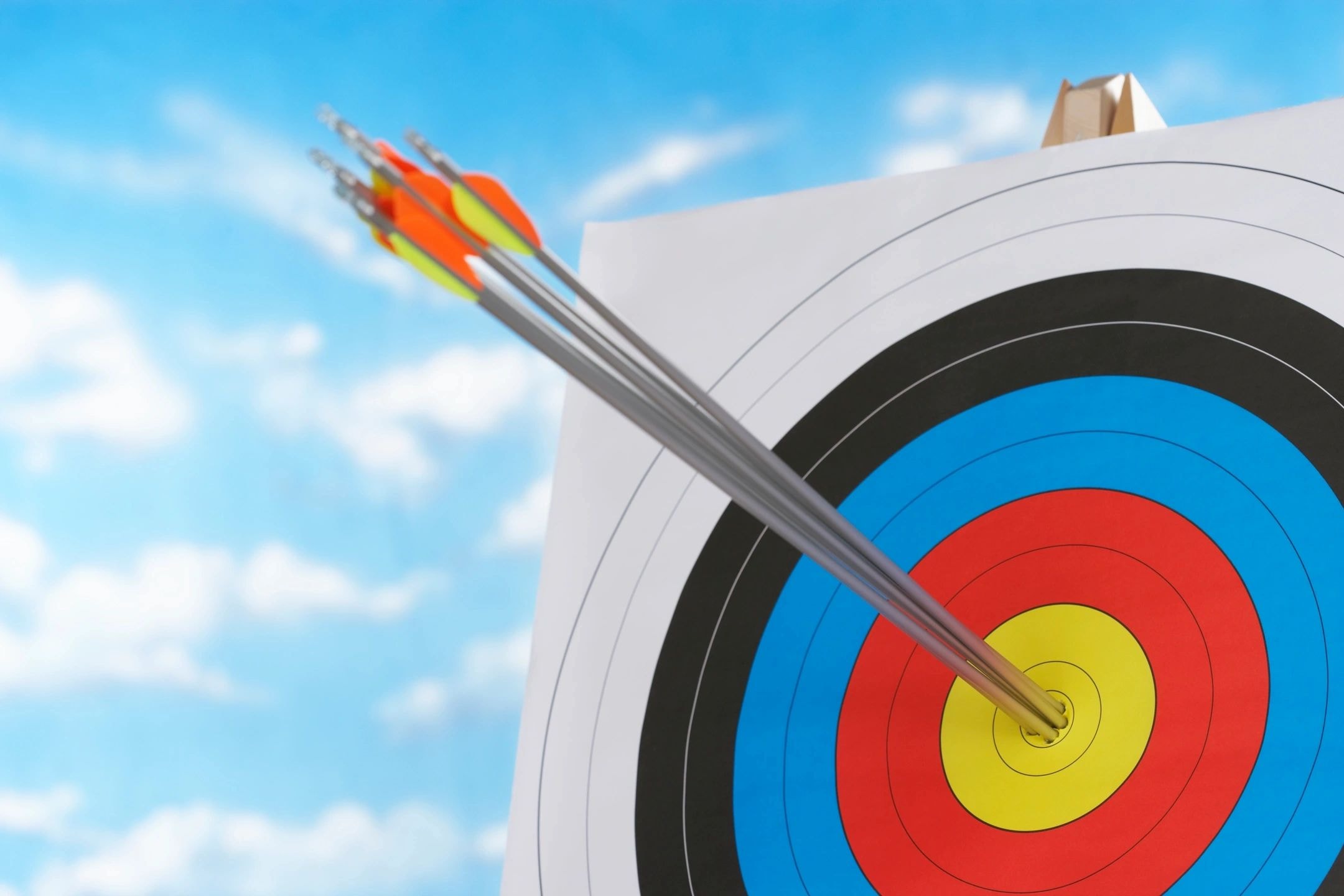 Arrows hitting target bullseye — precision and results